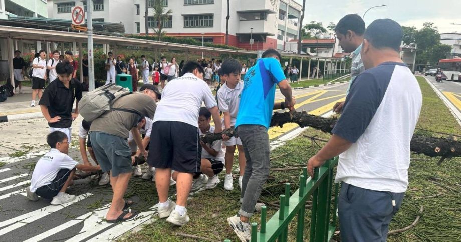 Over 20 residents, students rally to move seven-storey-tall fallen tree in Serangoon, Singapore News