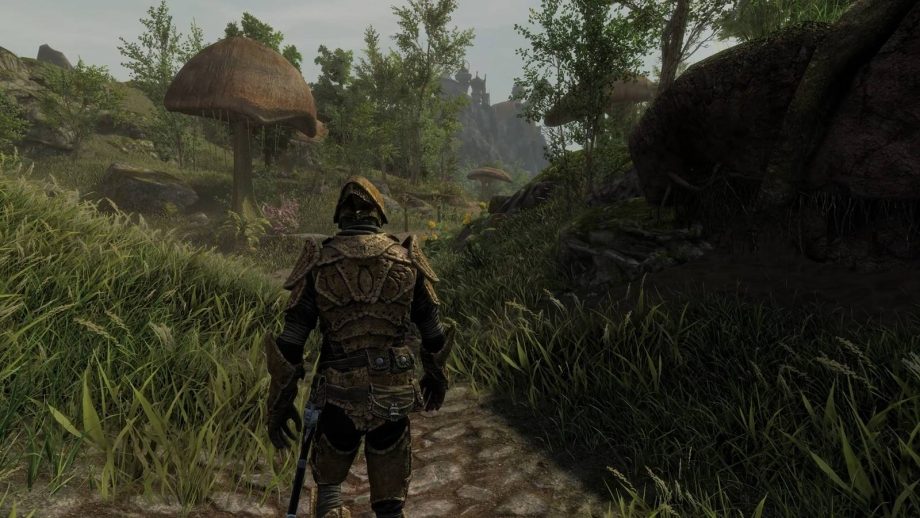 Skywind’s latest update highlights the impressive total conversion mod turning Skyrim into Morrowind Skywind’s latest update highlights the impressive total conversion mod turning Skyrim into Morrowind