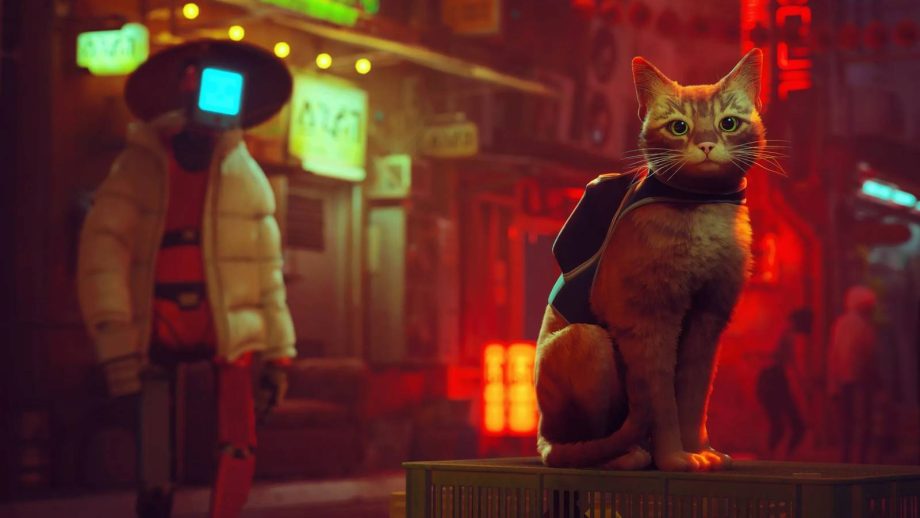 Stray just surprise-dropped on the Nintendo Switch 2 Stray just surprise-dropped on the Nintendo Switch 2