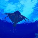 Subnautica 2’s early access warning is more serious than I could’ve imagined