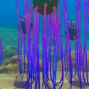 Where to find necrolei cysts for strong acid in Subnautica 2