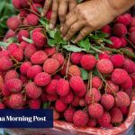How many lychees are safe to eat in a day? What TCM says about the fruit