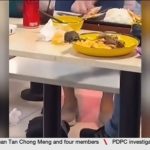 Rat infestations: More than 230 cases of lapses at F&B outlets in Singapore in 2025
