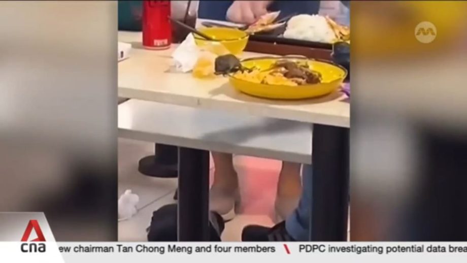 Rat infestations: More than 230 cases of lapses at F&B outlets in Singapore in 2025 Rat infestations: More than 230 cases of lapses at F&B outlets in Singapore in 2025