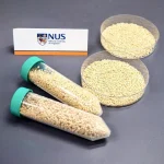 NUS researchers develop novel oral vaccine to protect farmed fish from deadly virus