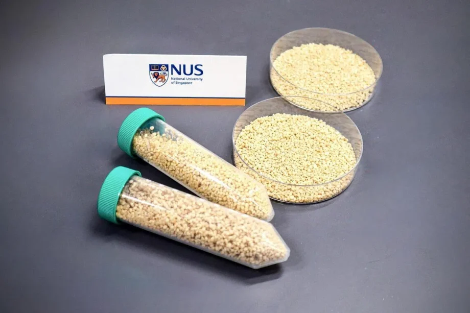 NUS researchers develop novel oral vaccine to protect farmed fish from deadly virus