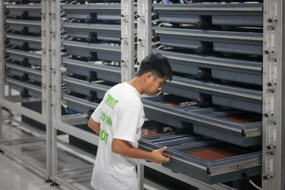 Singapore’s first trout farm begins operations