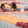 Cj Hendry Flower Market: Singapore’s plushie frenzy