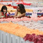 Cj Hendry Flower Market: Singapore’s plushie frenzy