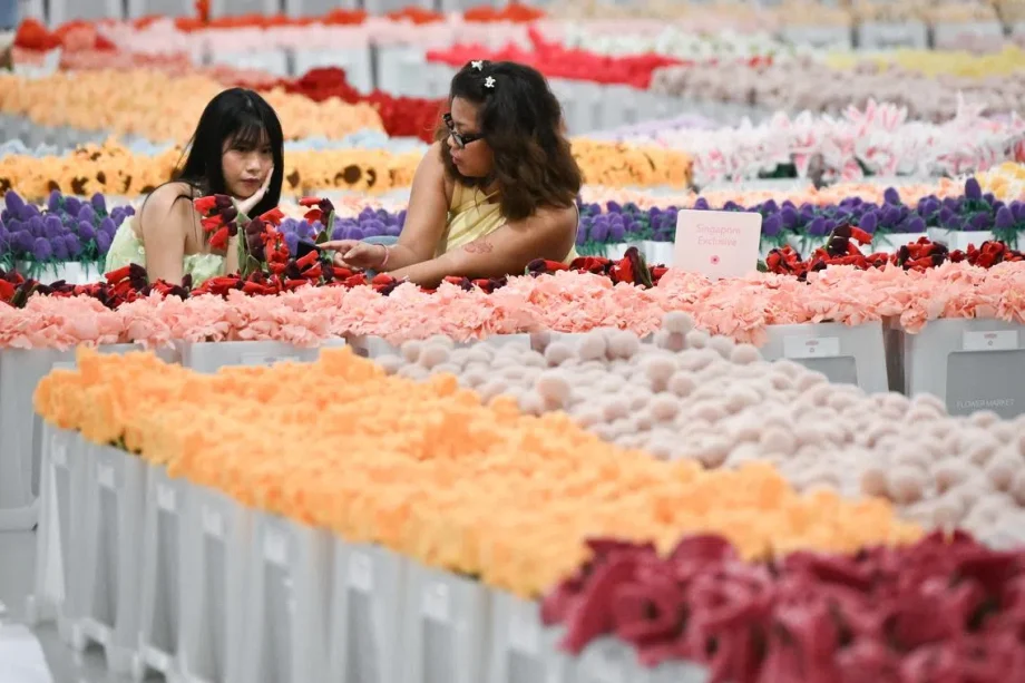 Cj Hendry Flower Market: Singapore’s plushie frenzy