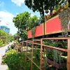 8m-high roller coaster among large installations set to wow crowds at Singapore Garden Festival