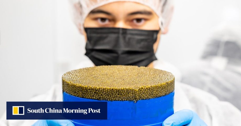 How Chinese caviar company N25 fought stereotypes to star at top global restaurants