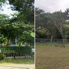 36-year-old man found dead at Punggol Waterway Park, no foul play suspected