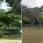 36-year-old man found dead at Punggol Waterway Park, no foul play suspected