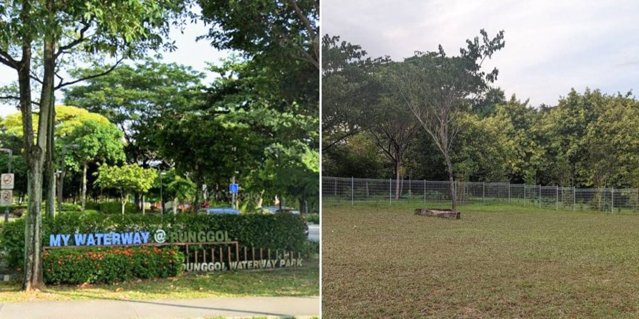 36-year-old man found dead at Punggol Waterway Park, no foul play suspected 36-year-old man found dead at Punggol Waterway Park, no foul play suspected