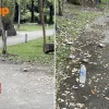 Gardens by the Bay dog waste issue