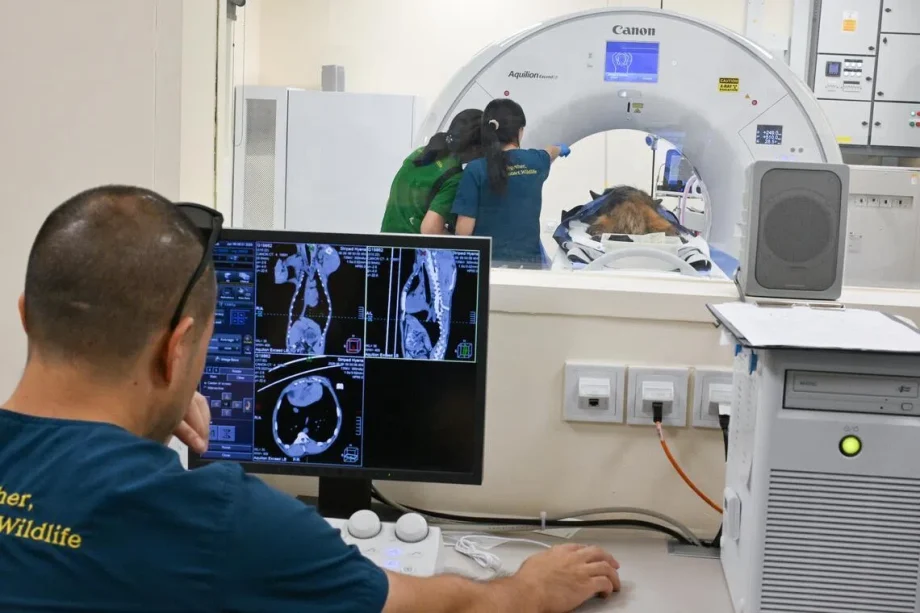 Mandai opens modern new animal hospital Mandai opens modern new animal hospital