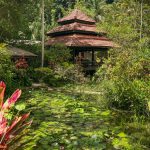 Discover Janda Baik, the rainforest retreat near the Malaysian capital