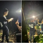 NParks investigating snake handling incident on Mandai trail