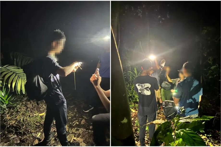 NParks investigating snake handling incident on Mandai trail NParks investigating snake handling incident on Mandai trail