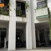Overgrown plant at HDB block sparks neighbour concerns