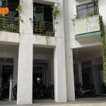 Overgrown plant at HDB block sparks neighbour concerns