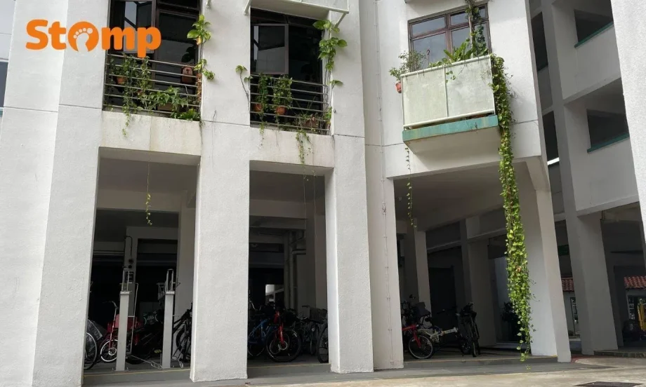 Overgrown plant at HDB block sparks neighbour concerns Overgrown plant at HDB block sparks neighbour concerns