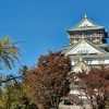 Japan travel: Essential tech tips for your holiday