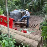 Unauthorised clearing of trees in nature reserve planted under OneMillionTrees initiative under probe