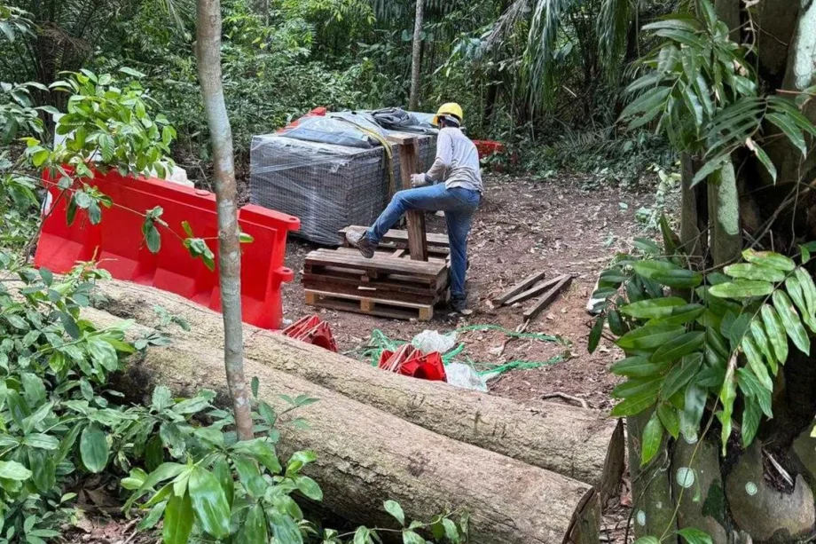 Unauthorised clearing of trees in nature reserve planted under OneMillionTrees initiative under probe