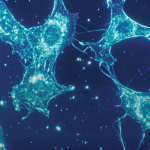Singapore’s Biobot Surgical raises .5m in funding led by ClavystBio