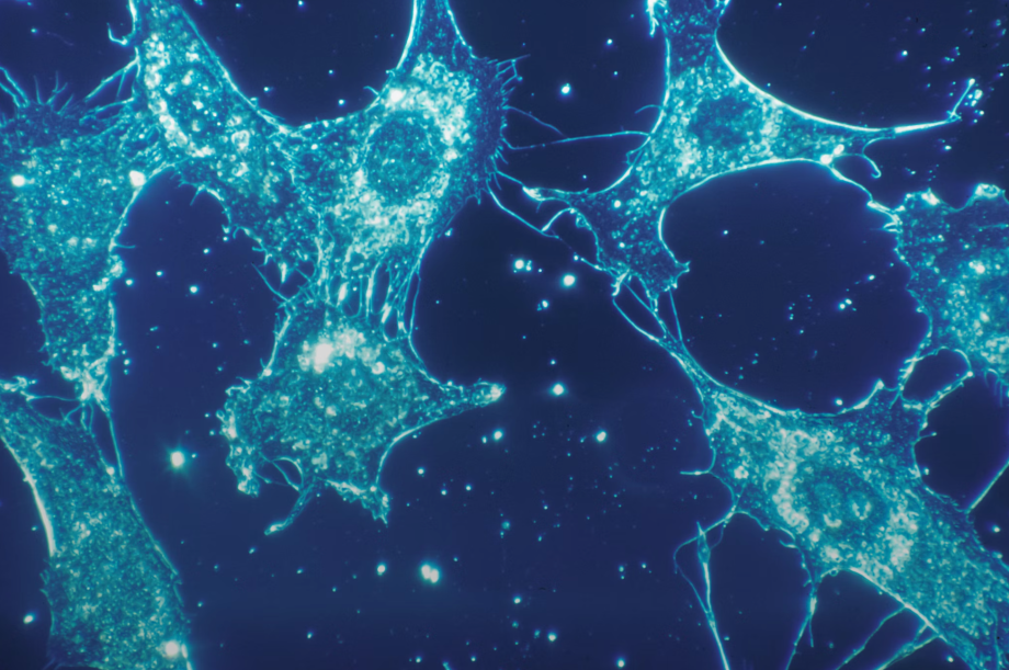 Singapore’s Biobot Surgical raises .5m in funding led by ClavystBio