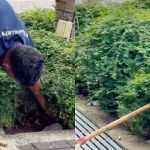 ‘Please don’t make cleaners’ job more challenging’: Baey Yam Keng urges Tampines residents to dispose waste properly, Singapore News
