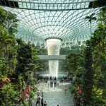 Travelling to Singapore? 7 things you should never pack