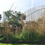 Singapore Garden Festival Returns to Gardens by the Bay this July
