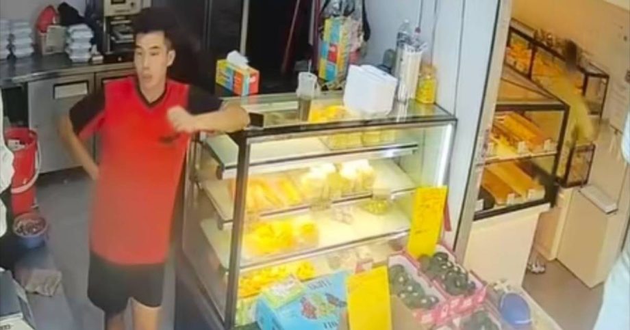 Durian stall assistant steals ,300 from employer, gambles it away at MBS casino, Singapore News
