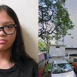 Missing again: Police appeal for information on 15-year-old girl last seen in Boon Lay, Singapore News