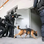 SPF trials new canine-mounted camera system to improve search operations