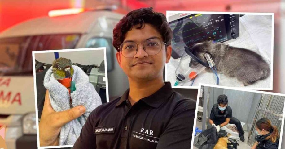He’s only 25, and a pioneer of Singapore’s only uniformed 24-hour private pet rescue service, Lifestyle News He’s only 25, and a pioneer of Singapore’s only uniformed 24-hour private pet rescue service, Lifestyle News