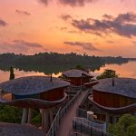 How to experience the Mandai Wildlife Reserve and stay at the new jungle resort