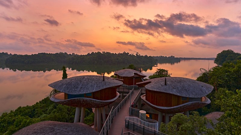 How to experience the Mandai Wildlife Reserve and stay at the new jungle resort