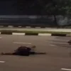 Man arrested for public drunkenness after stopping traffic, lying on road in Admiralty Road West