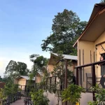 Glamping with the family at Mandai’s new Crocodile Lodge