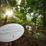 New immersive trail at Singapore Botanic Gardens