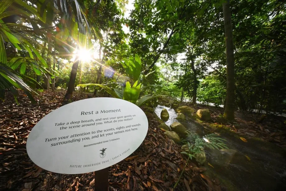 New immersive trail at Singapore Botanic Gardens New immersive trail at Singapore Botanic Gardens