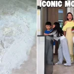 Pineapple housewarming ritual damages flooring