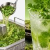 Haidilao Singapore launches coriander-themed menu with hotpot broth, drinks and more