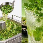 Haidilao Singapore launches coriander-themed menu with hotpot broth, drinks and more