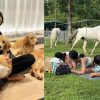 Puppies, ponies and Pilates: I tried some of Singapore’s most unconventional fitness classes