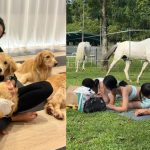 Puppies, ponies and Pilates: I tried some of Singapore’s most unconventional fitness classes